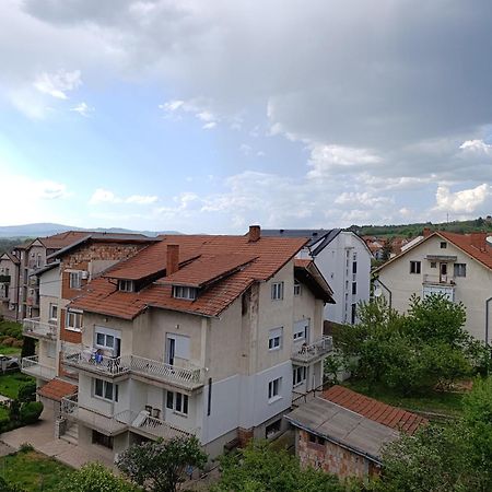 Villa Vlasta Сокобаня Экстерьер фото