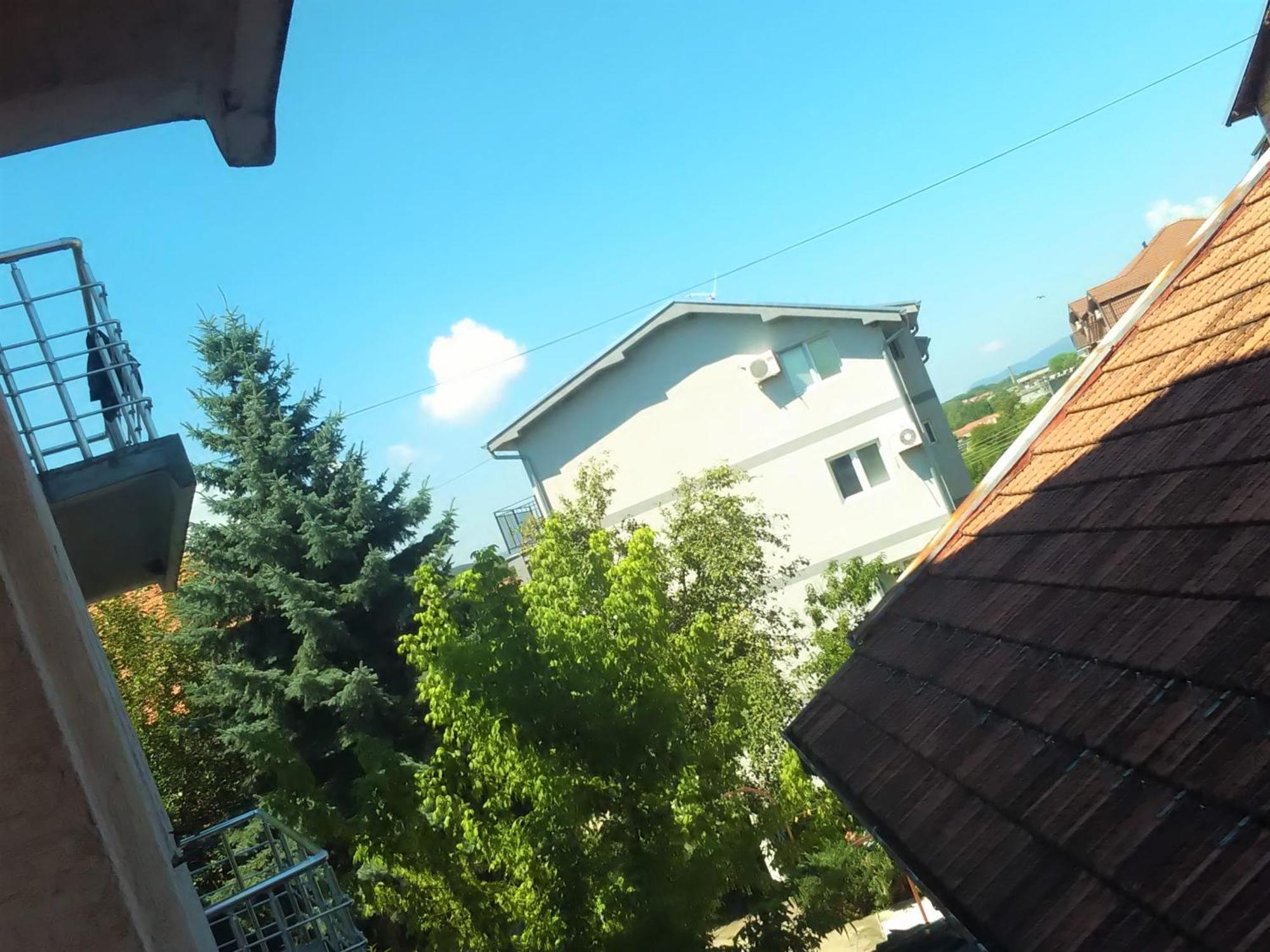 Villa Vlasta Сокобаня Экстерьер фото