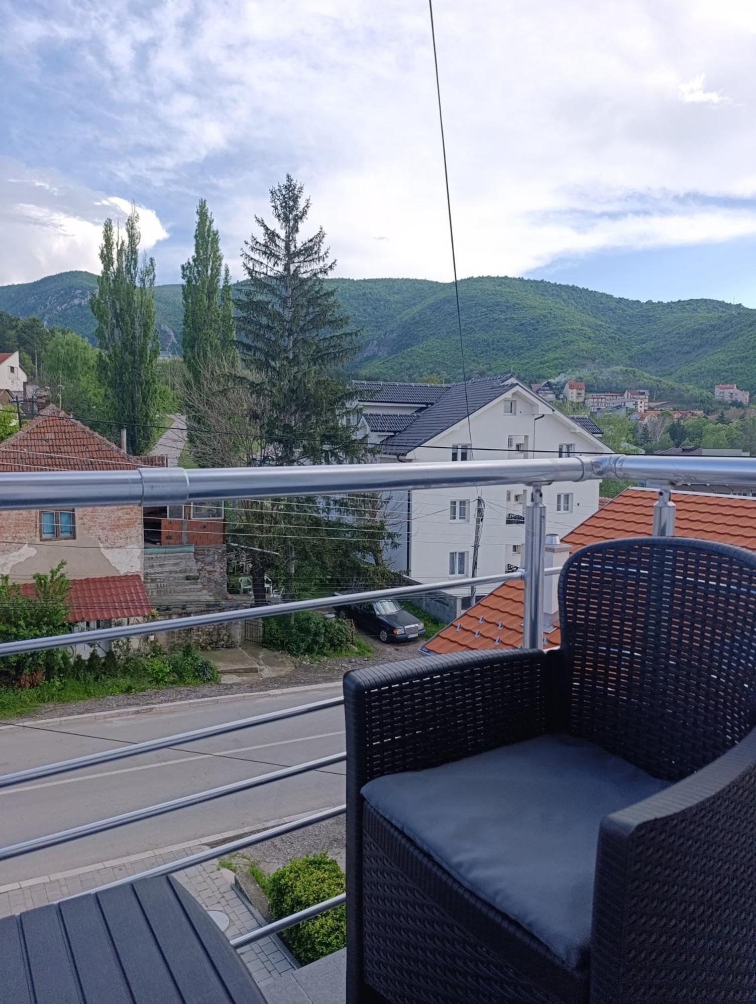Villa Vlasta Сокобаня Экстерьер фото