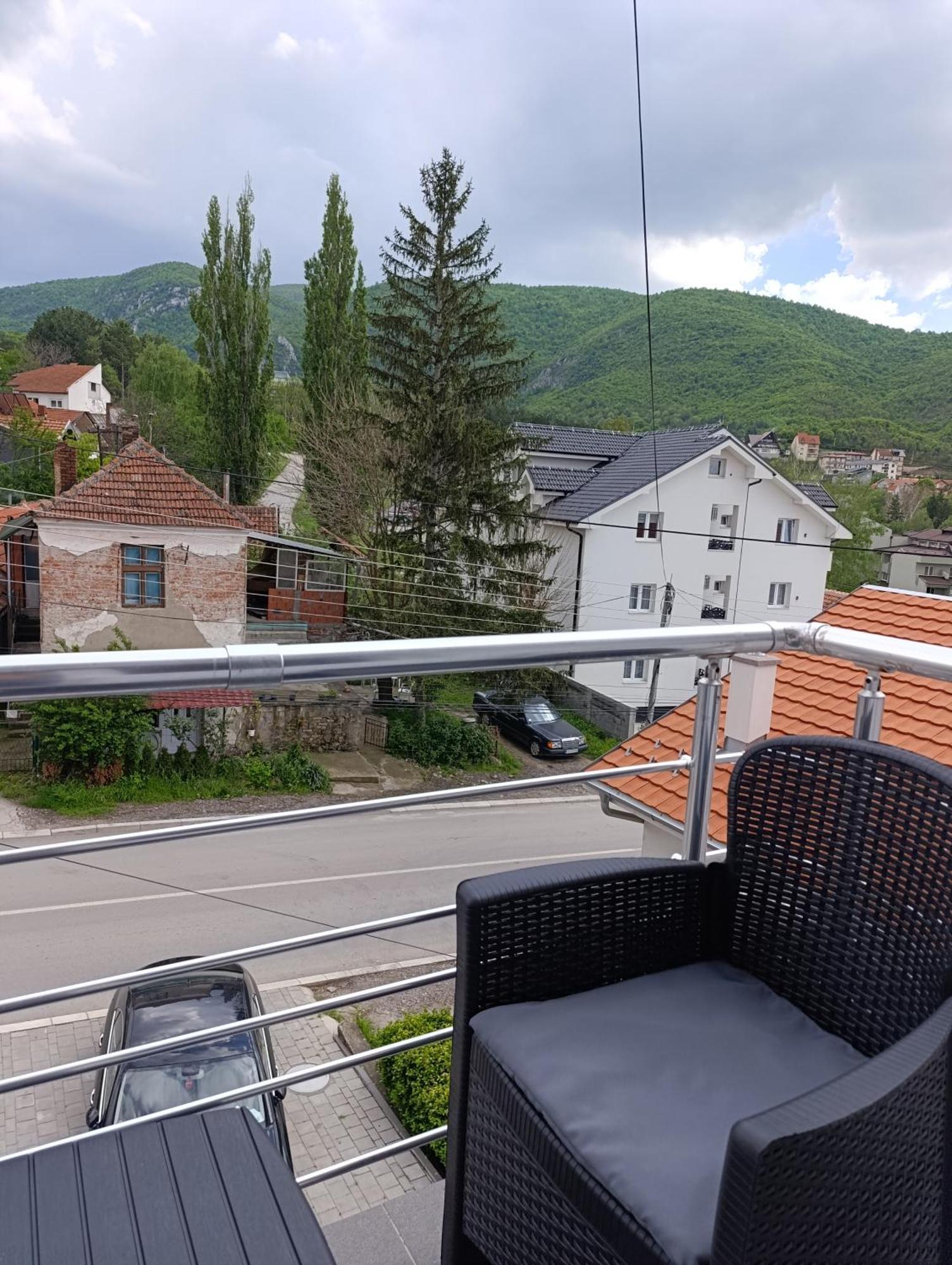 Villa Vlasta Сокобаня Экстерьер фото